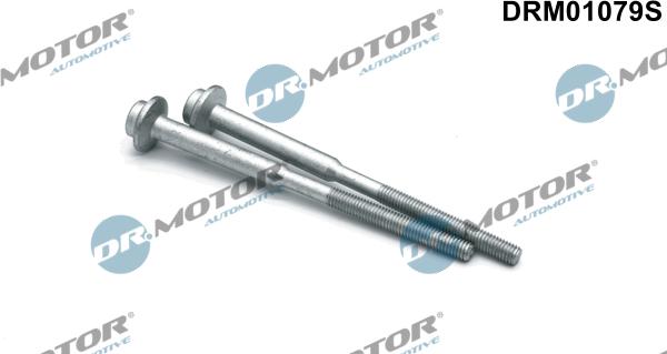 Dr.Motor Automotive DRM01079S - Болт, кріплення форсунки autozip.com.ua