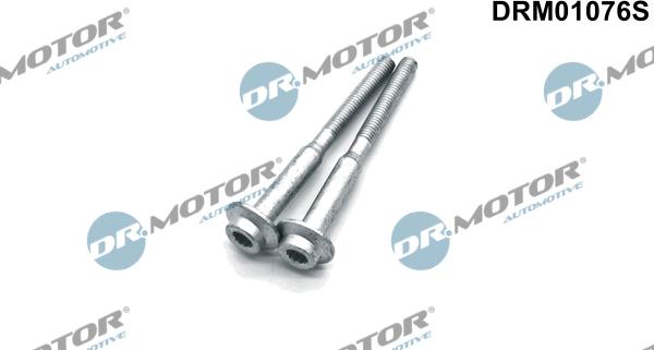 Dr.Motor Automotive DRM01076S - Болт, кріплення форсунки autozip.com.ua
