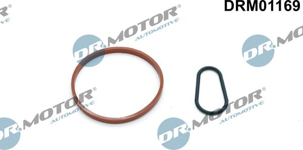 Dr.Motor Automotive DRM01169 - Комплект прокладок, вакуумний насос autozip.com.ua