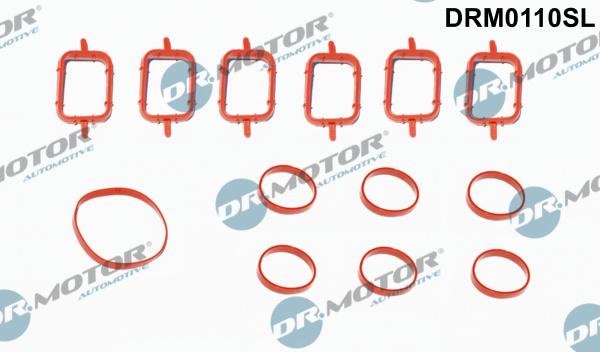 Dr.Motor Automotive DRM0110SL - Комплект прокладок, впускний колектор autozip.com.ua