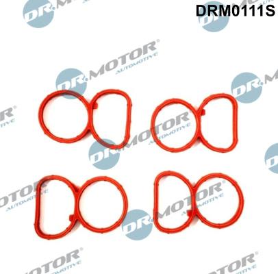 Dr.Motor Automotive DRM0111S - Комплект прокладок, впускний колектор autozip.com.ua