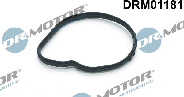 Dr.Motor Automotive DRM01181 - Прокладка, термостат autozip.com.ua