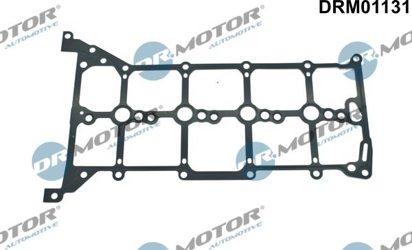 Dr.Motor Automotive DRM01131 - Прокладка, кришка головки циліндра autozip.com.ua