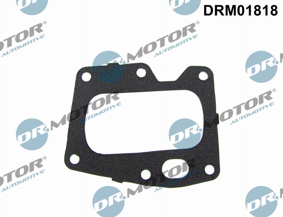 Dr.Motor Automotive DRM01818 - Прокладка, клапан повернення ОГ autozip.com.ua