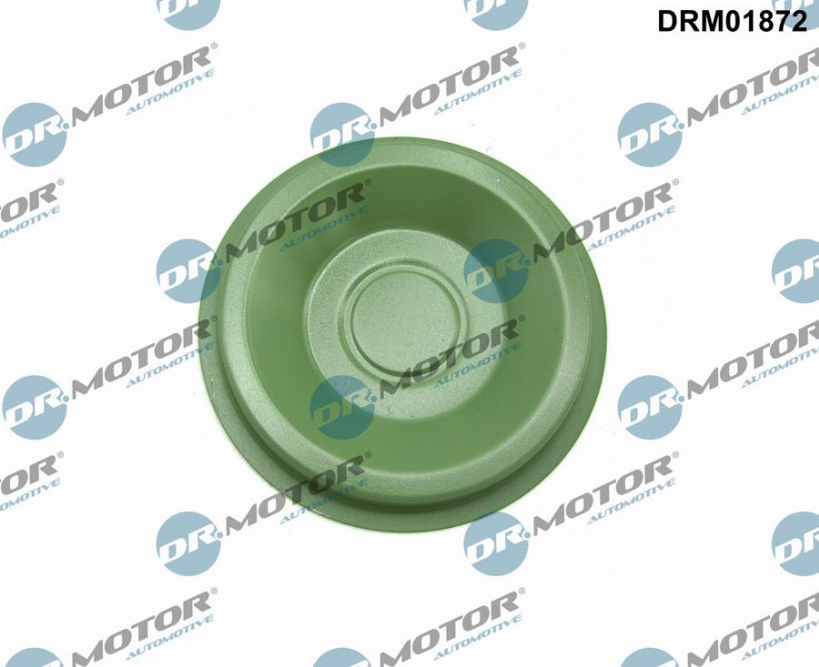 Dr.Motor Automotive DRM01872 - Фланця кришка, ступінчаста коробка передач autozip.com.ua
