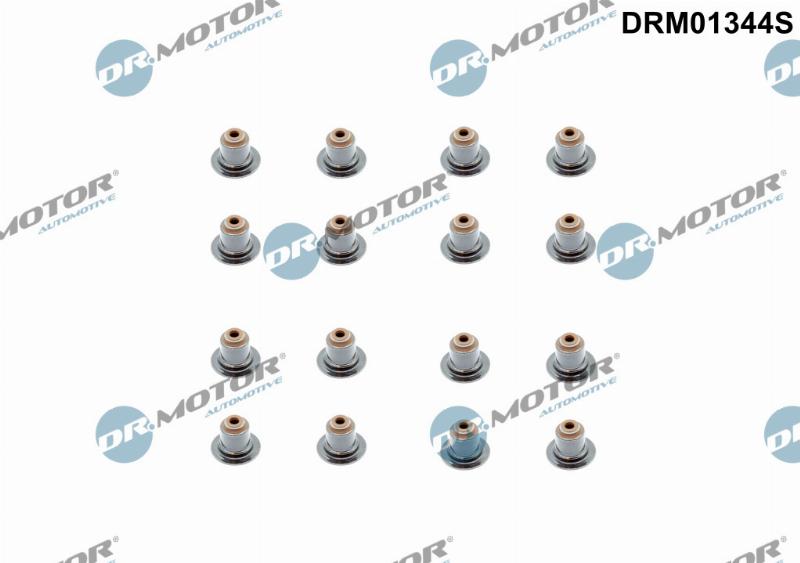 Dr.Motor Automotive DRM01344S - Комплект прокладок, стержень клапана autozip.com.ua