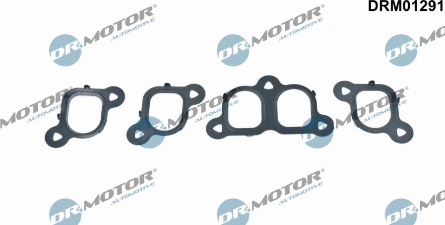 Dr.Motor Automotive DRM01291 - Комплект прокладок, впускний колектор autozip.com.ua