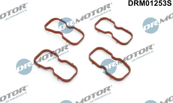 Dr.Motor Automotive DRM01253S - Комплект прокладок, впускний колектор autozip.com.ua