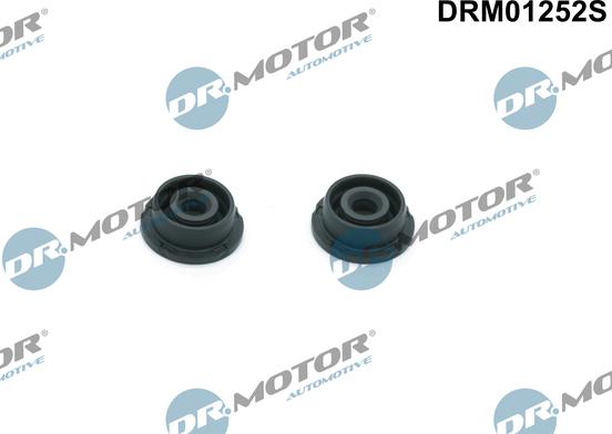 Dr.Motor Automotive DRM01252S - Комплект прокладок, кришка головки циліндра autozip.com.ua