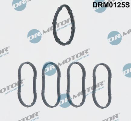 Dr.Motor Automotive DRM0125S - Комплект прокладок, впускний колектор autozip.com.ua