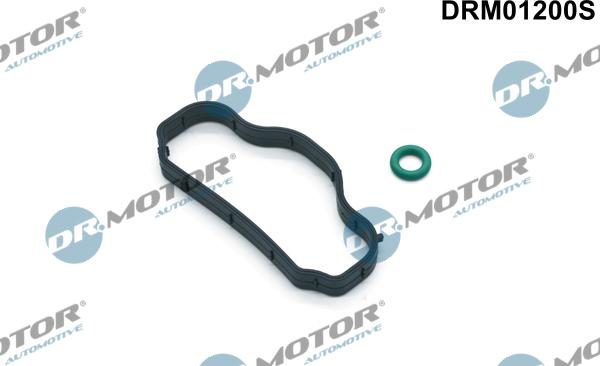 Dr.Motor Automotive DRM01200S - Комплект прокладок, кришка головки циліндра autozip.com.ua