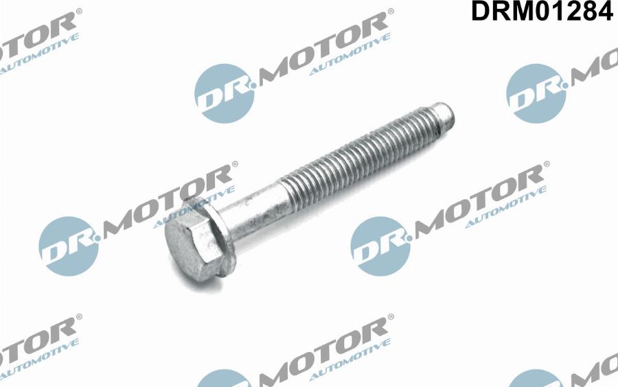 Dr.Motor Automotive DRM01284 - Болт, кріплення форсунки autozip.com.ua