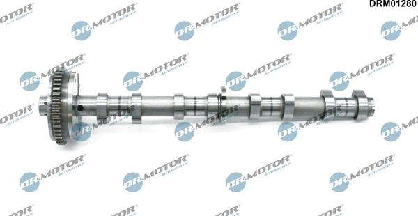 Dr.Motor Automotive DRM01280 - Шток autozip.com.ua