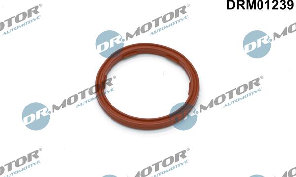 Dr.Motor Automotive DRM01239 - Кільце ущільнювача, датчик рівня моторного масла autozip.com.ua