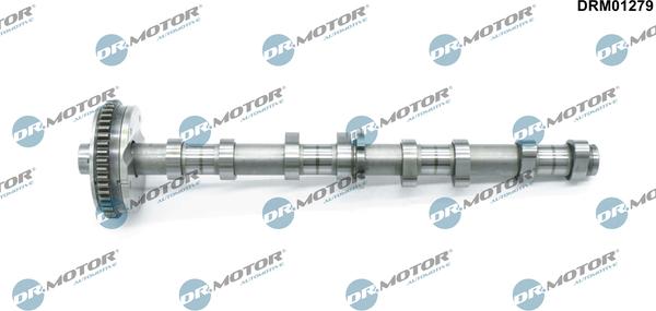 Dr.Motor Automotive DRM01279 - Шток autozip.com.ua