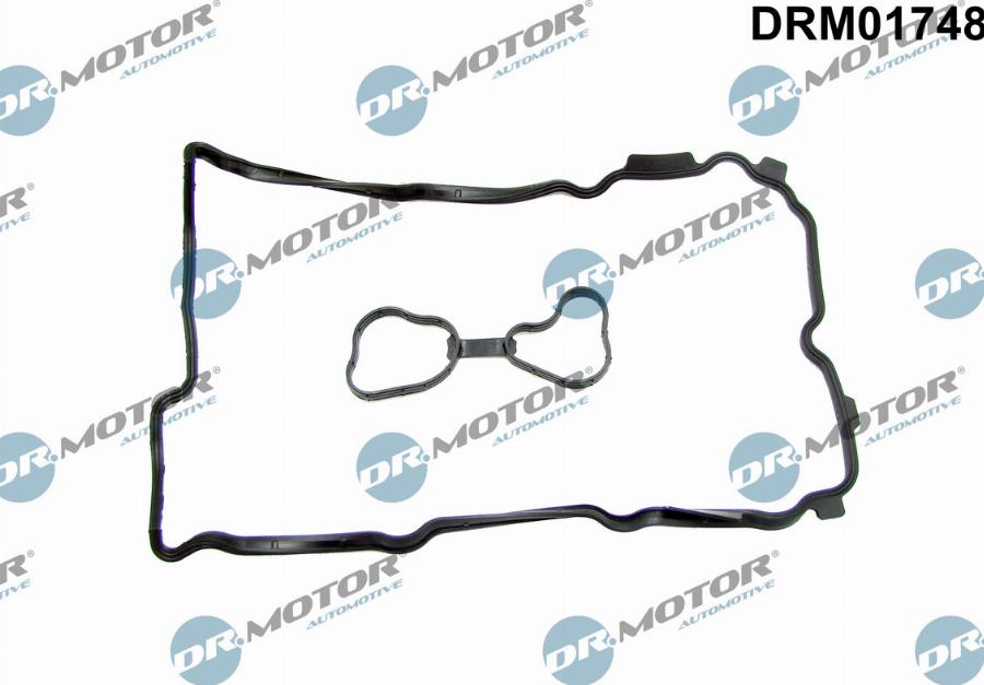 Dr.Motor Automotive DRM01748 - Прокладка, кришка головки циліндра autozip.com.ua
