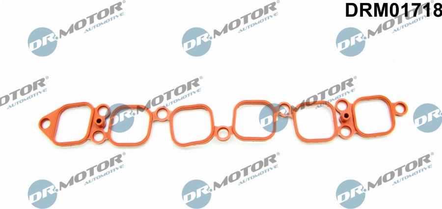 Dr.Motor Automotive DRM01718 - Прокладка, впускний колектор autozip.com.ua