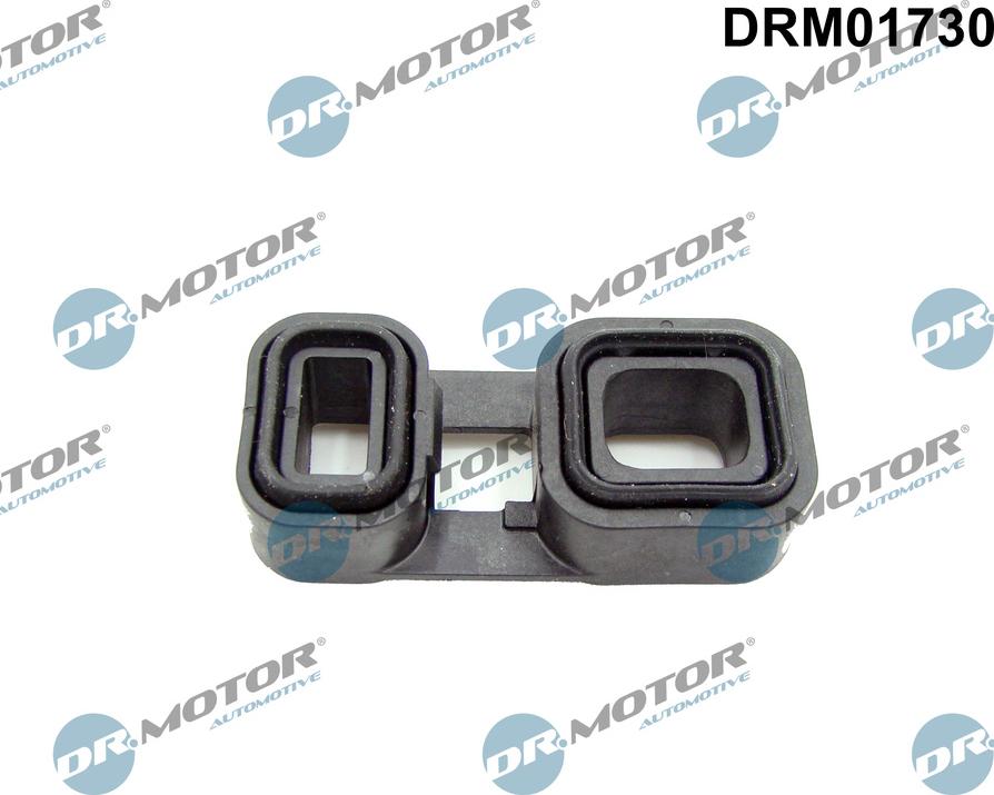Dr.Motor Automotive DRM01730 - Прокладка, автоматична коробка autozip.com.ua