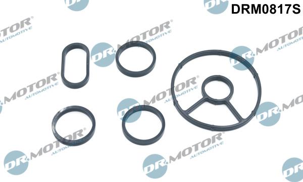 Dr.Motor Automotive DRM0817S - Комплект прокладок, масляний радіатор autozip.com.ua