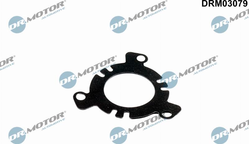 Dr.Motor Automotive DRM03079 - Прокладка, паливний насос високого тиску autozip.com.ua