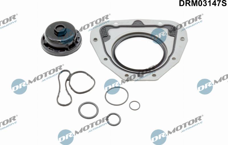 Dr.Motor Automotive DRM03147S - Комплект прокладок, блок-картер двигуна autozip.com.ua
