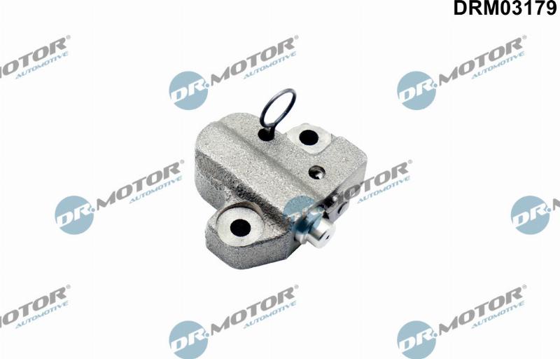 Dr.Motor Automotive DRM03179 - Натягач ланцюга, ланцюг приводу распредвала autozip.com.ua