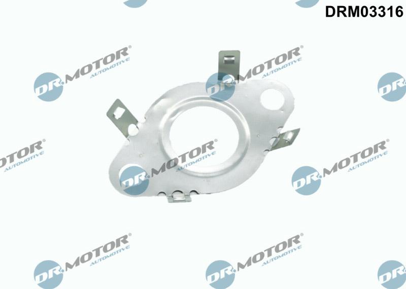 Dr.Motor Automotive DRM03316 - Прокладка, трубка клапана повернення ОГ autozip.com.ua