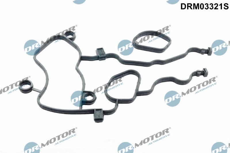 Dr.Motor Automotive DRM03321S - Комплект прокладок, картер рульового механізму autozip.com.ua