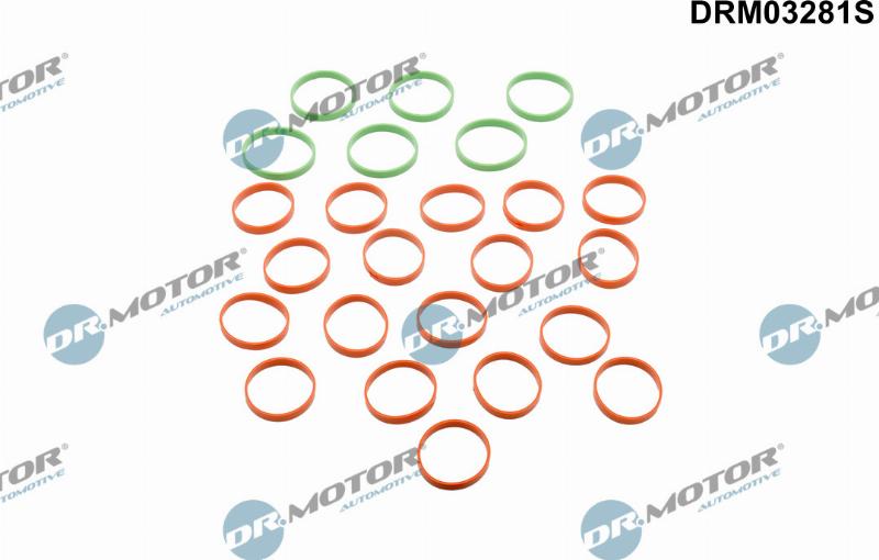 Dr.Motor Automotive DRM03281S - Комплект прокладок, впускний колектор autozip.com.ua