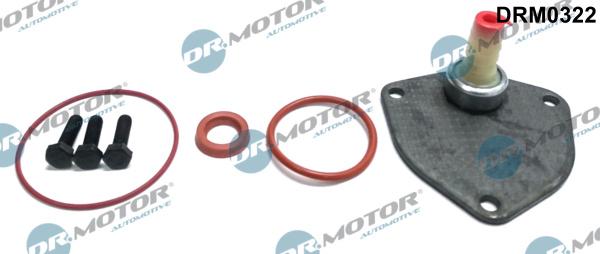 Dr.Motor Automotive DRM0322 - Ремкомплект, вакуумний насос (гальмівна установка) autozip.com.ua