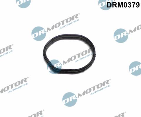 Dr.Motor Automotive DRM0379 - Прокладка, кришка картера рульового механізму autozip.com.ua