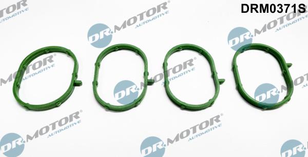 Dr.Motor Automotive DRM0371S - Комплект прокладок, впускний колектор autozip.com.ua