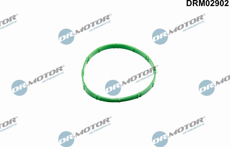 Dr.Motor Automotive DRM02902 - Прокладка, з'єднання дросельної заслінки autozip.com.ua