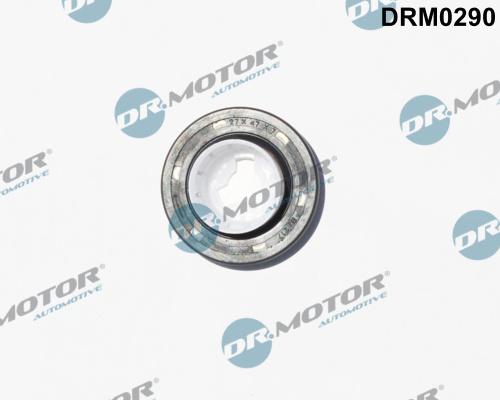 Dr.Motor Automotive DRM0290 - Ущільнене кільце, розподільний вал autozip.com.ua