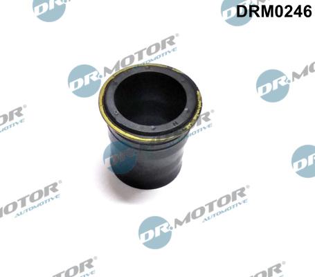 Dr.Motor Automotive DRM0246 - Шайба теплового захисту, система уприскування autozip.com.ua