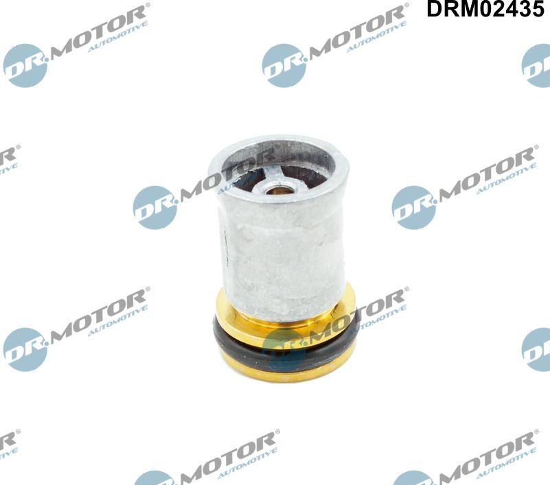 Dr.Motor Automotive DRM02435 - Зворотний клапан autozip.com.ua