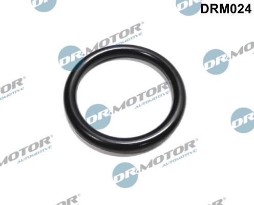 Dr.Motor Automotive DRM024 - Прокладка, фланець охолоджуючої рідини autozip.com.ua