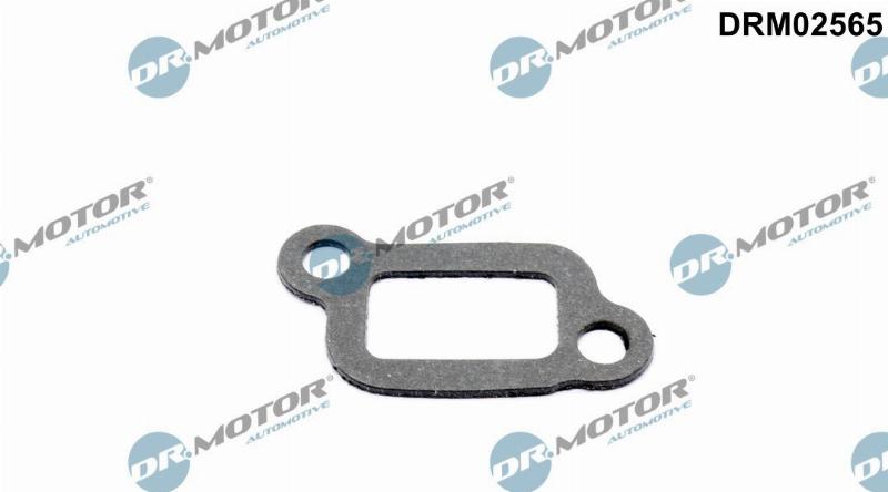 Dr.Motor Automotive DRM02565 - Прокладка, корпус термостата autozip.com.ua