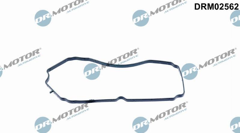 Dr.Motor Automotive DRM02562 - Прокладка, вентиляція картера autozip.com.ua