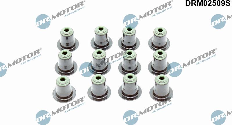 Dr.Motor Automotive DRM02509S - Комплект прокладок, стержень клапана autozip.com.ua