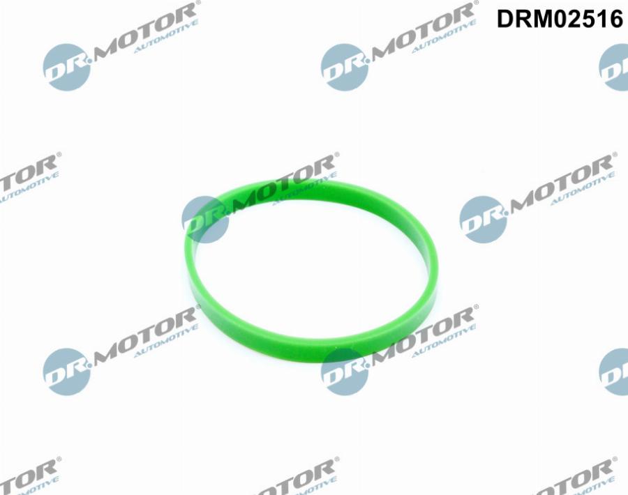 Dr.Motor Automotive DRM02516 - Прокладка, впускний колектор autozip.com.ua
