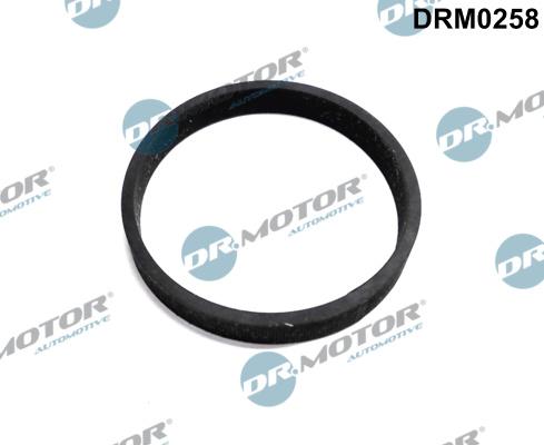 Dr.Motor Automotive DRM0258 - Прокладка, впуск в турбіну (компресор) autozip.com.ua