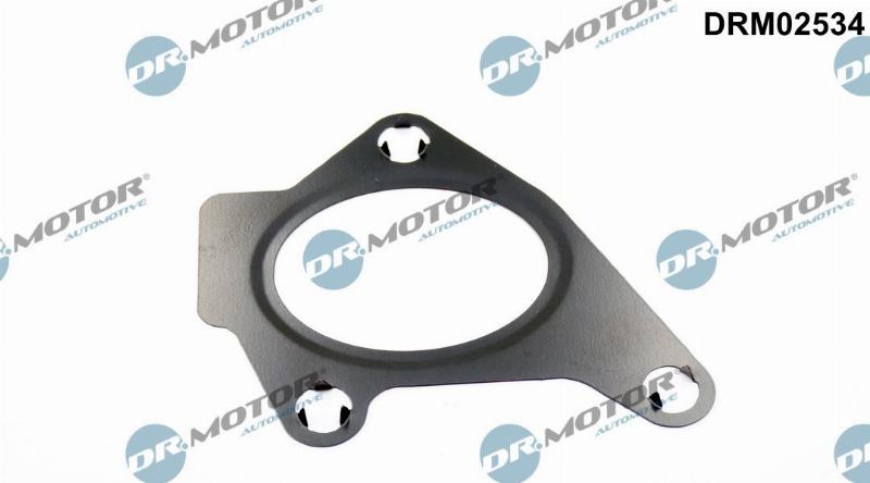 Dr.Motor Automotive DRM02534 - Прокладка, впускний колектор autozip.com.ua