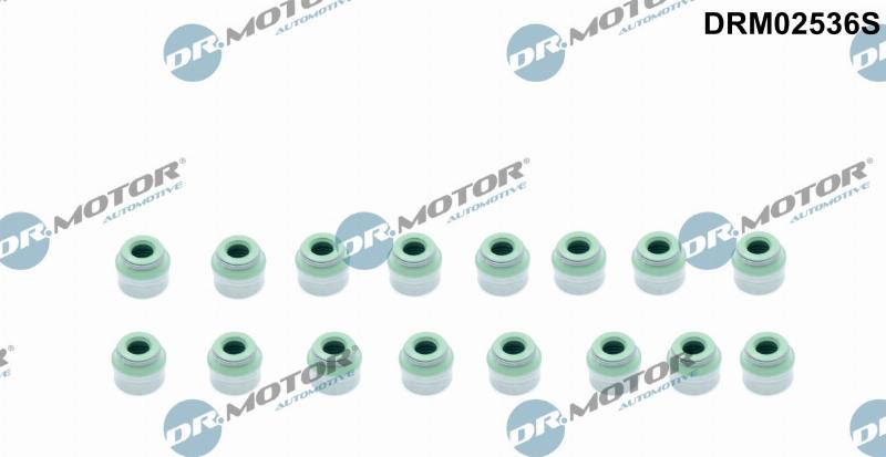 Dr.Motor Automotive DRM02536S - Комплект прокладок, стержень клапана autozip.com.ua