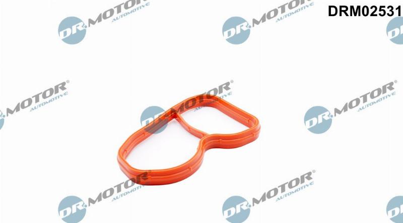 Dr.Motor Automotive DRM02531 - Прокладка, впускний колектор autozip.com.ua