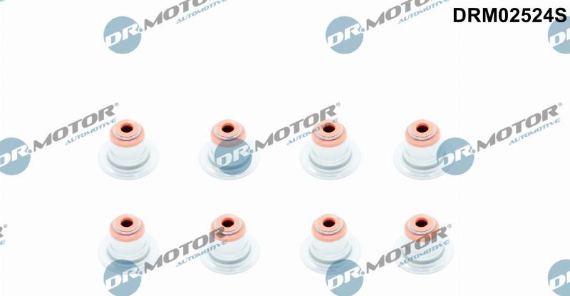 Dr.Motor Automotive DRM02524S - Комплект прокладок, стержень клапана autozip.com.ua
