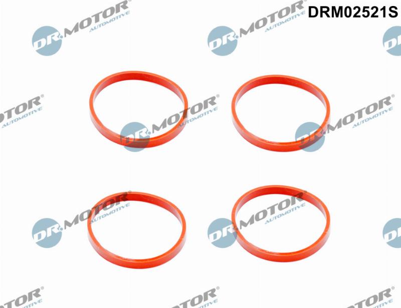 Dr.Motor Automotive DRM02521S - Комплект прокладок, впускний колектор autozip.com.ua