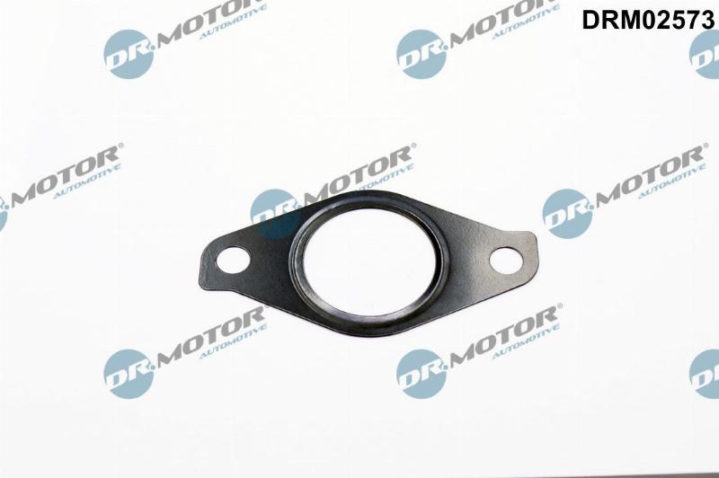 Dr.Motor Automotive DRM02573 - Прокладка, корпус термостата autozip.com.ua