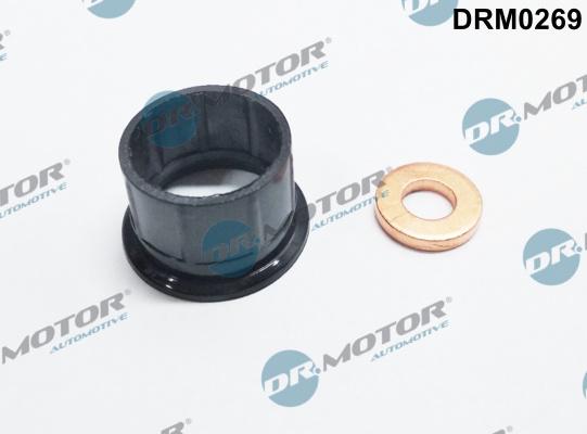 Dr.Motor Automotive DRM0269 - Комплект прокладок, форсунка autozip.com.ua