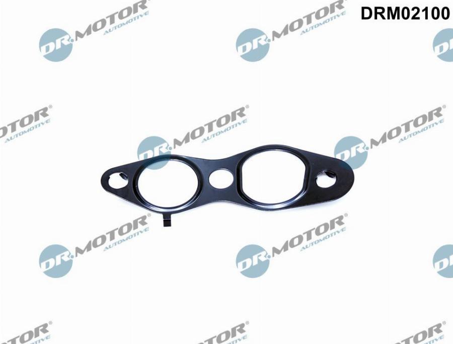 Dr.Motor Automotive DRM02100 - Прокладка, клапан повернення ОГ autozip.com.ua